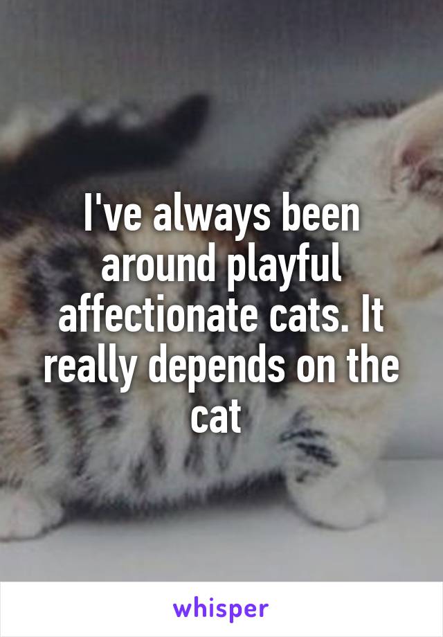 I've always been around playful affectionate cats. It really depends on the cat 