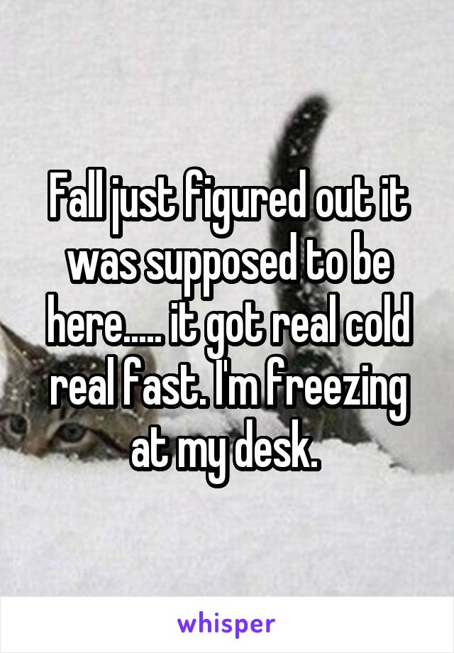 Fall just figured out it was supposed to be here..... it got real cold real fast. I'm freezing at my desk. 