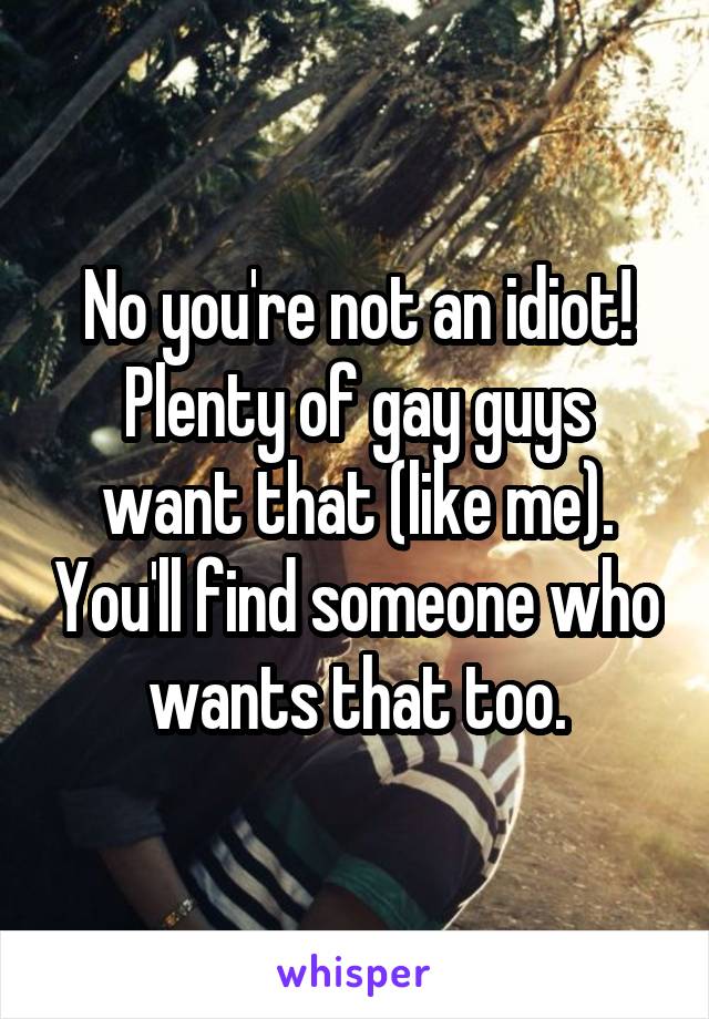 No you're not an idiot! Plenty of gay guys want that (like me). You'll find someone who wants that too.