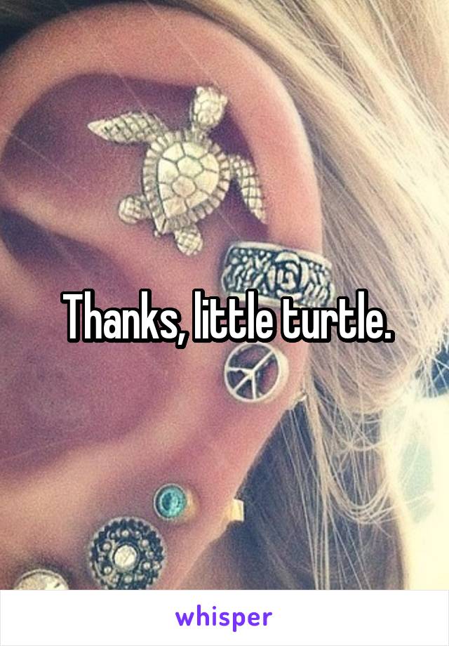 Thanks, little turtle.