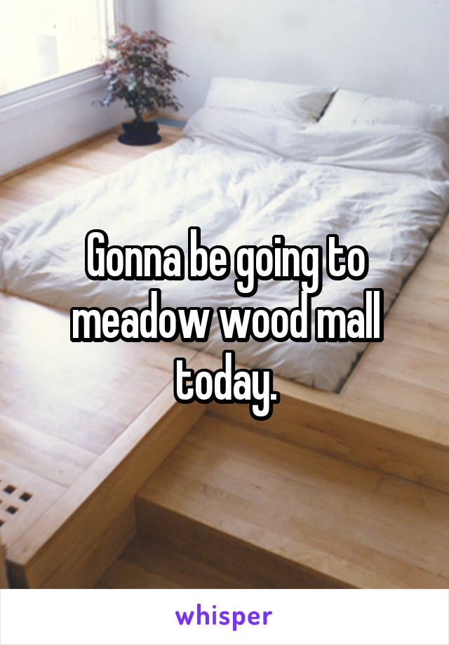 Gonna be going to meadow wood mall today.
