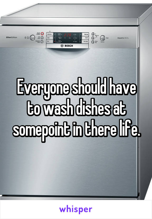 Everyone should have to wash dishes at somepoint in there life.
