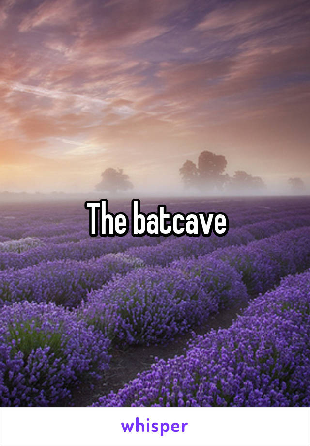 The batcave