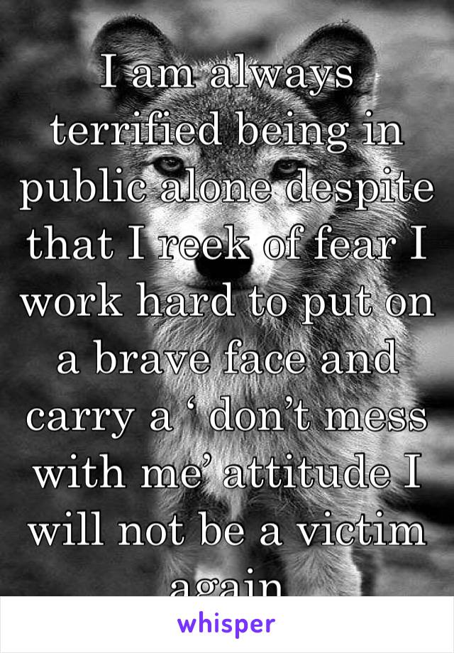 I am always terrified being in public alone despite that I reek of fear I work hard to put on a brave face and carry a ‘ don’t mess with me’ attitude I will not be a victim again 