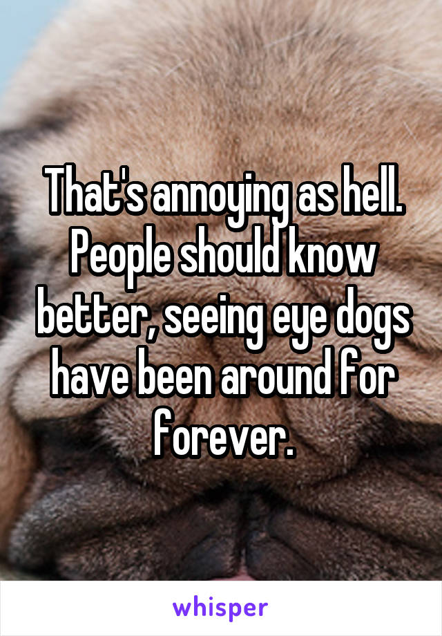 That's annoying as hell. People should know better, seeing eye dogs have been around for forever.