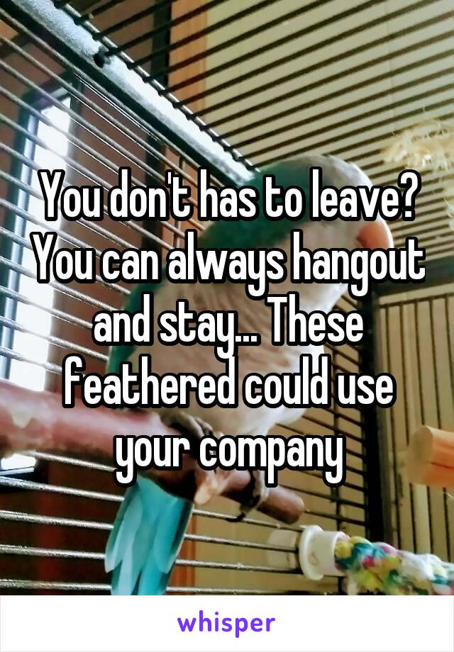 You don't has to leave? You can always hangout and stay... These feathered could use your company