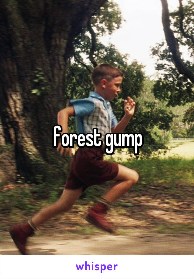 forest gump