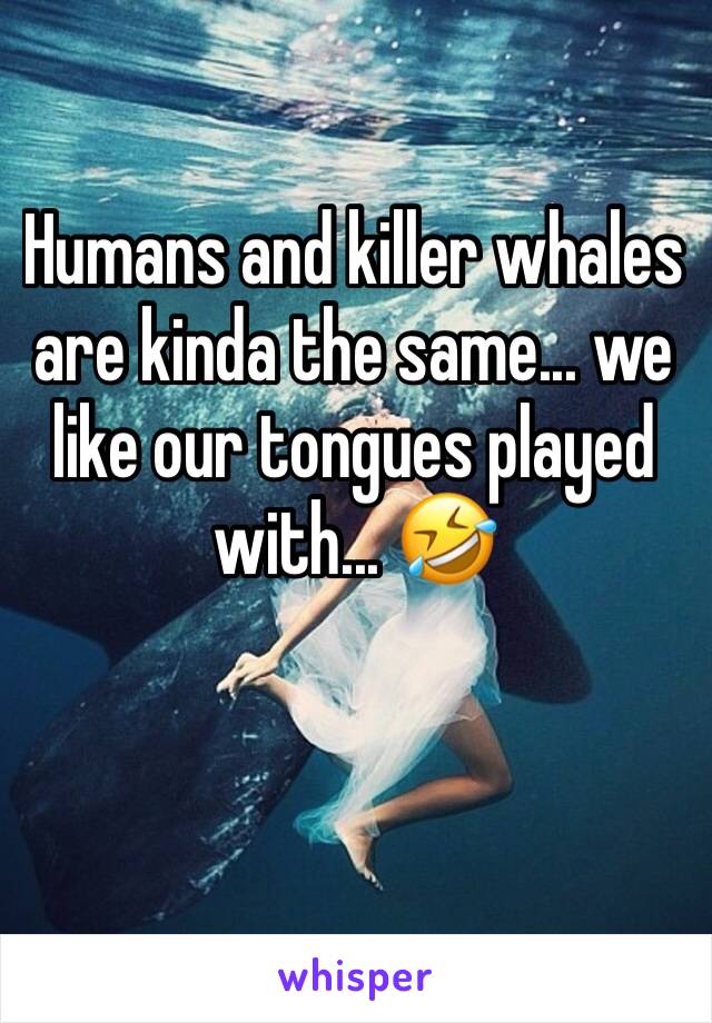 Humans and killer whales are kinda the same... we like our tongues played with... 🤣