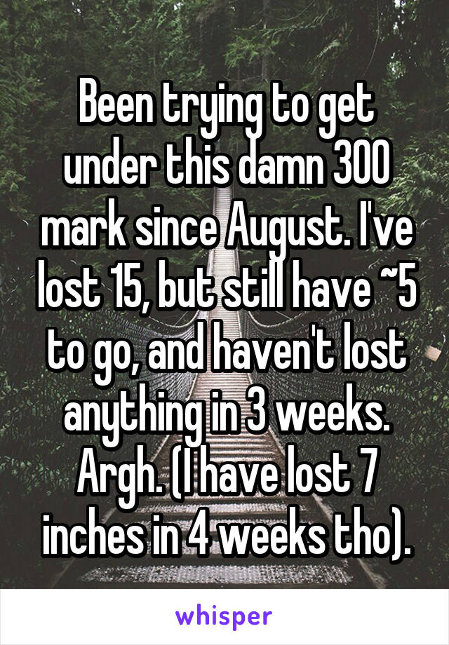Been trying to get under this damn 300 mark since August. I've lost 15, but still have ~5 to go, and haven't lost anything in 3 weeks. Argh. (I have lost 7 inches in 4 weeks tho).