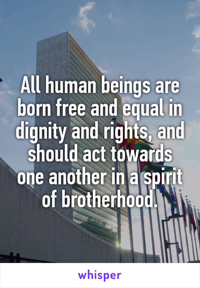 All human beings are born free and equal in dignity and rights, and should act towards one another in a spirit of brotherhood.