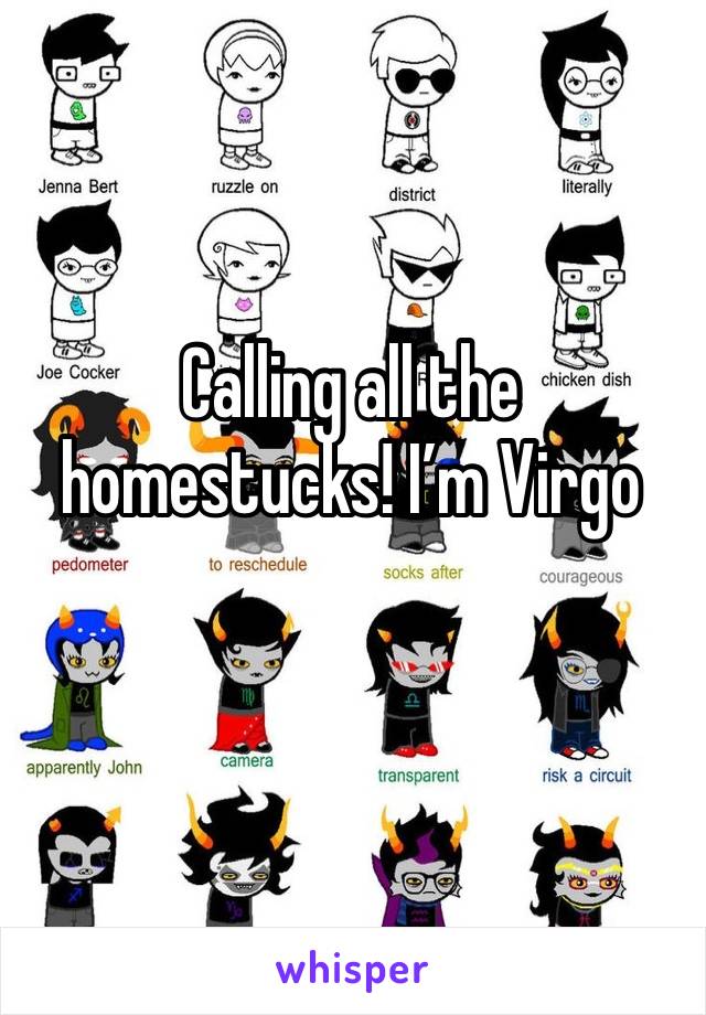 Calling all the homestucks! I’m Virgo 