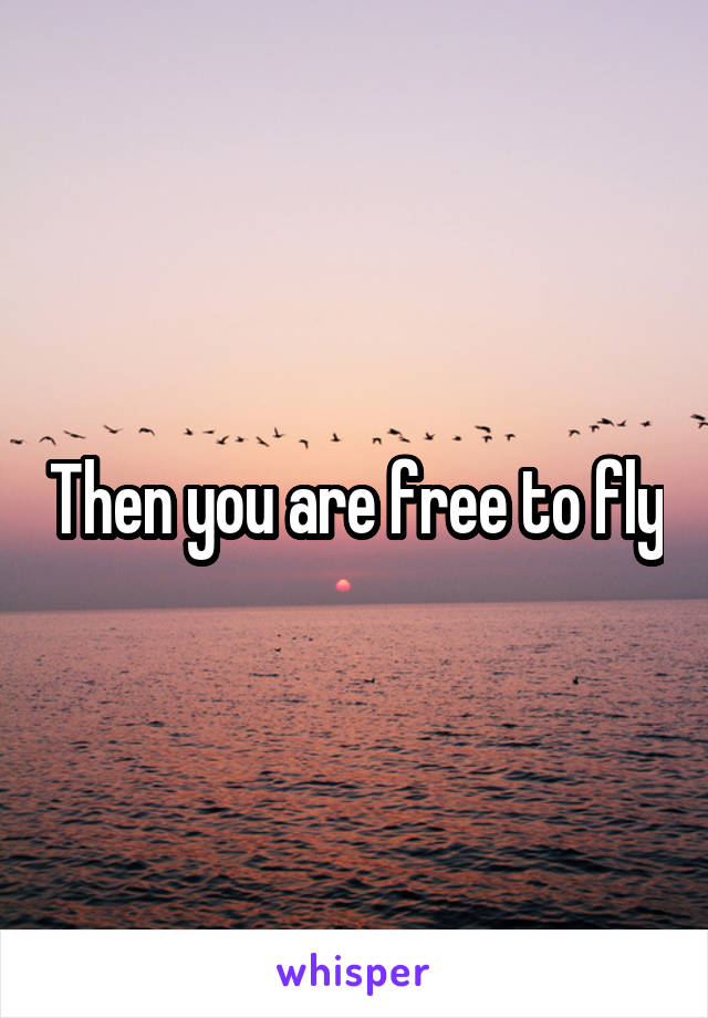 Then you are free to fly