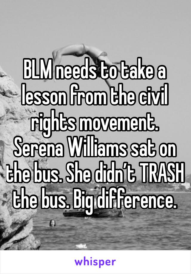 BLM needs to take a lesson from the civil rights movement. Serena Williams sat on the bus. She didn’t TRASH the bus. Big difference.