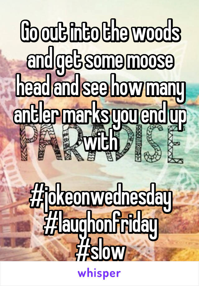 Go out into the woods and get some moose head and see how many antler marks you end up with

#jokeonwednesday
#laughonfriday
#slow