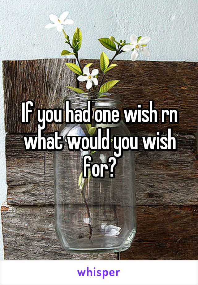 If you had one wish rn what would you wish for?