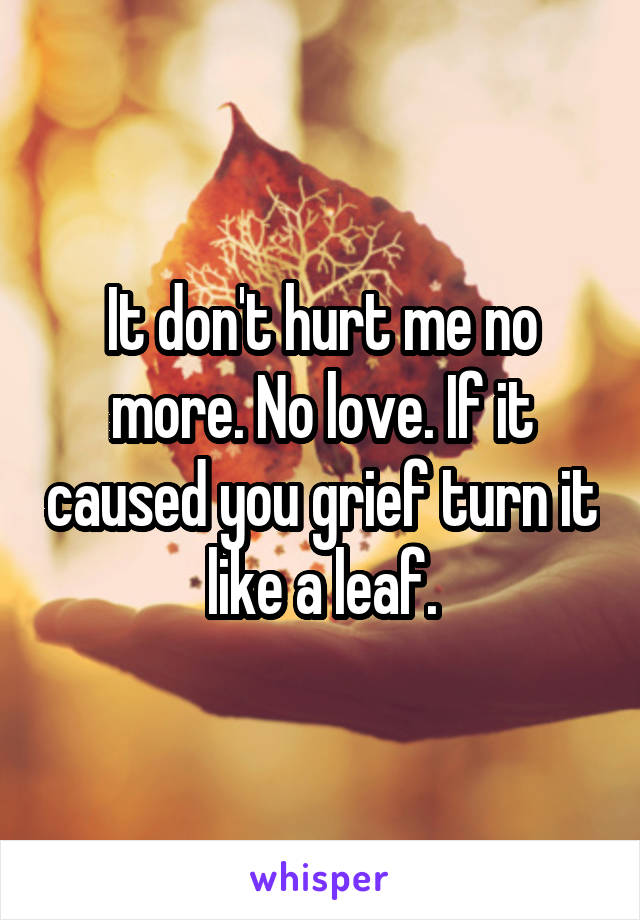 It don't hurt me no more. No love. If it caused you grief turn it like a leaf.
