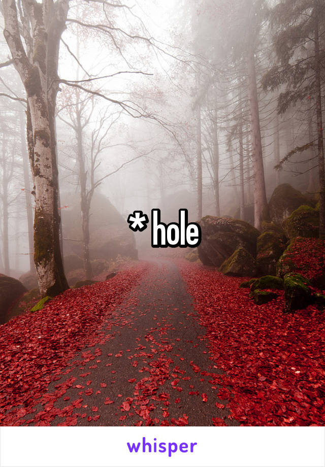 * hole