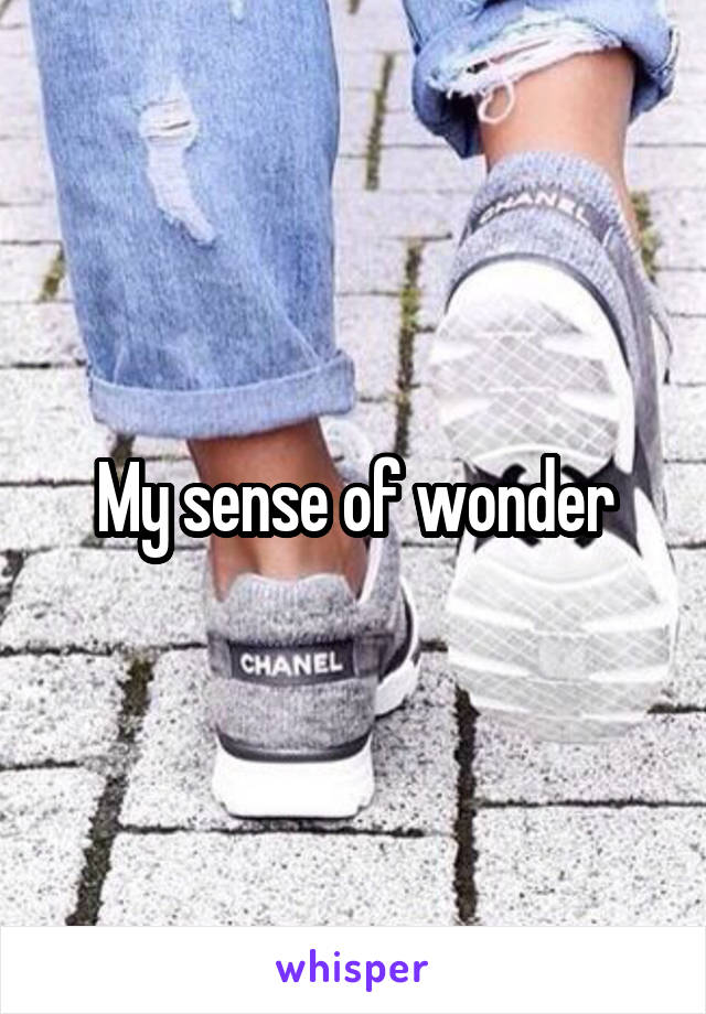 My sense of wonder