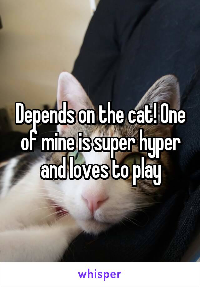 Depends on the cat! One of mine is super hyper and loves to play