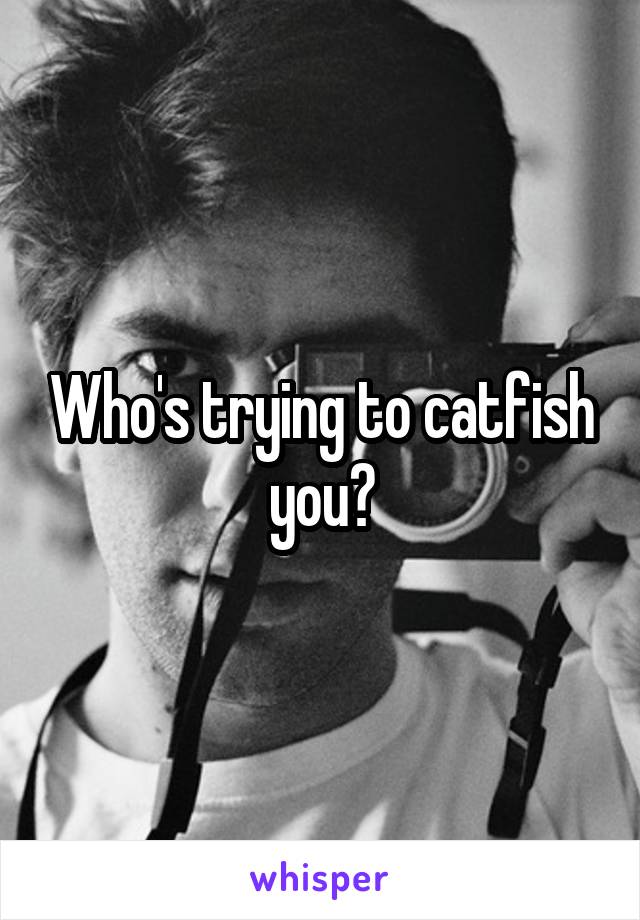 Who's trying to catfish you?