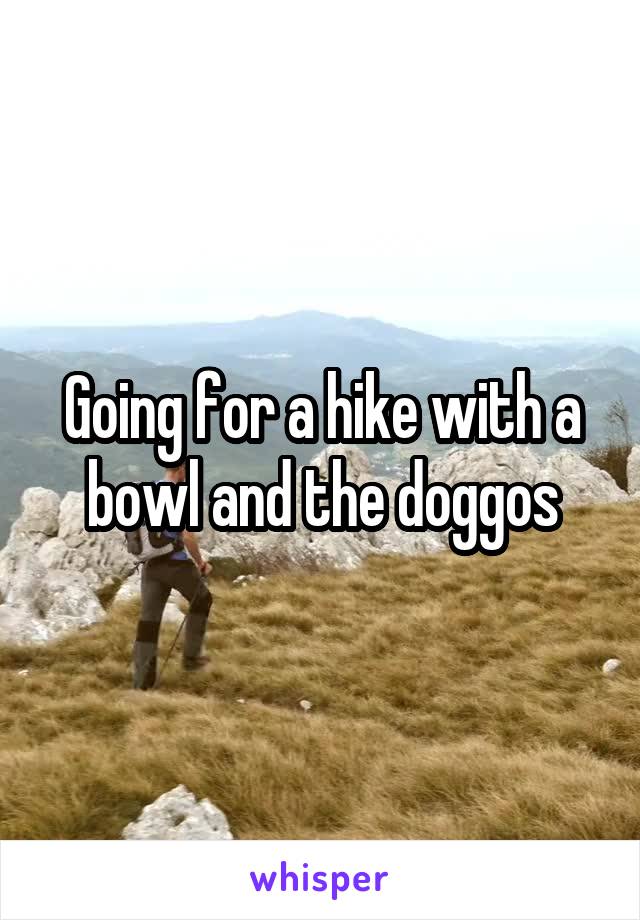 Going for a hike with a bowl and the doggos