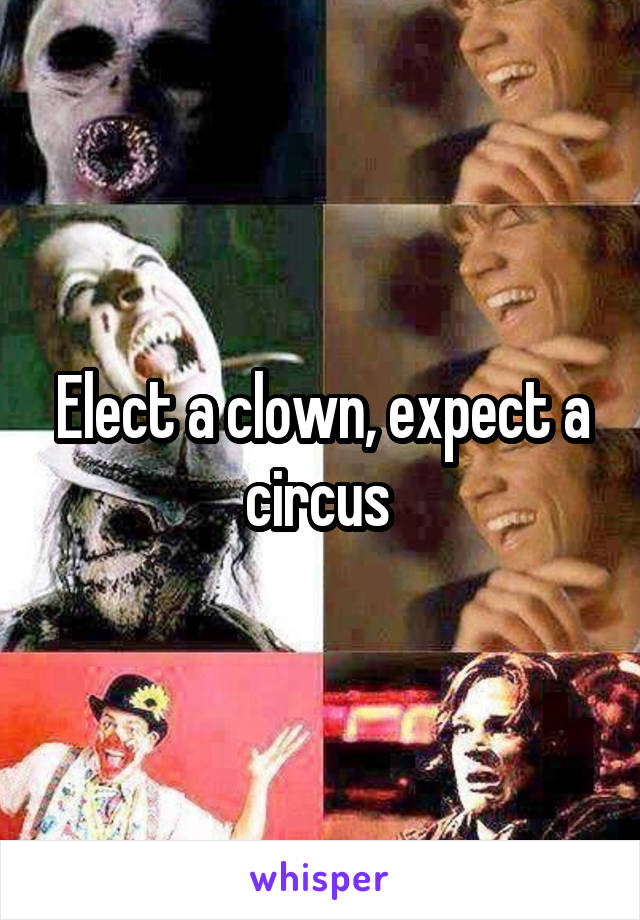 Elect a clown, expect a circus 