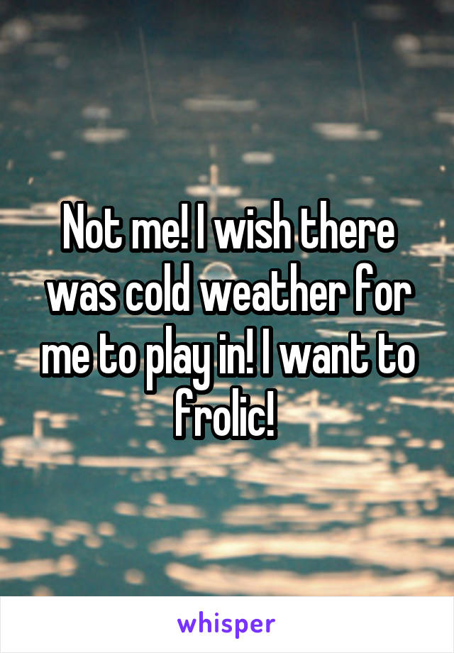 Not me! I wish there was cold weather for me to play in! I want to frolic! 
