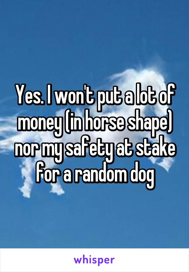 Yes. I won't put a lot of money (in horse shape) nor my safety at stake for a random dog