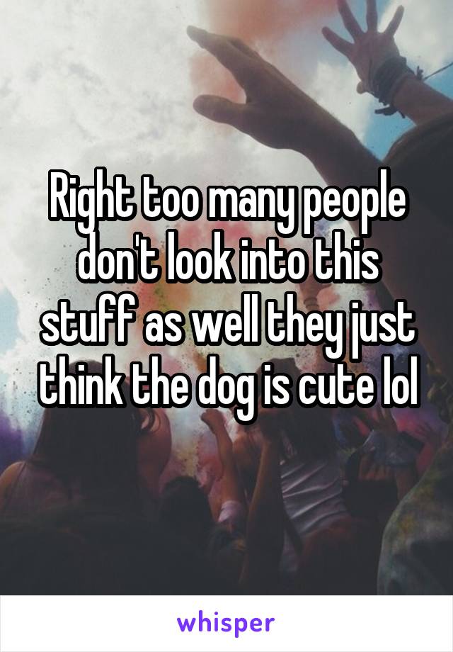 Right too many people don't look into this stuff as well they just think the dog is cute lol
 