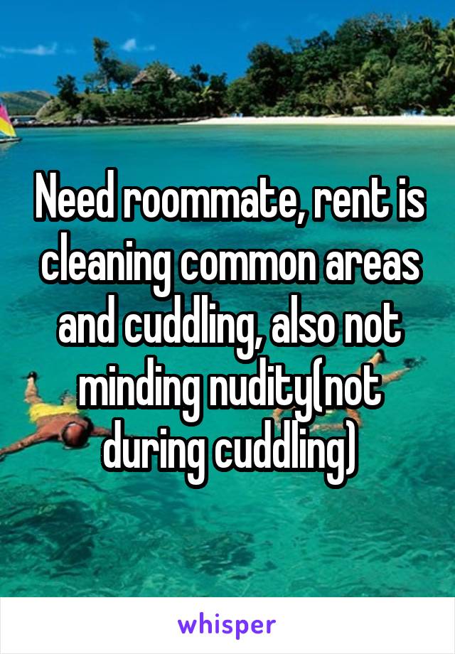 Need roommate, rent is cleaning common areas and cuddling, also not minding nudity(not during cuddling)
