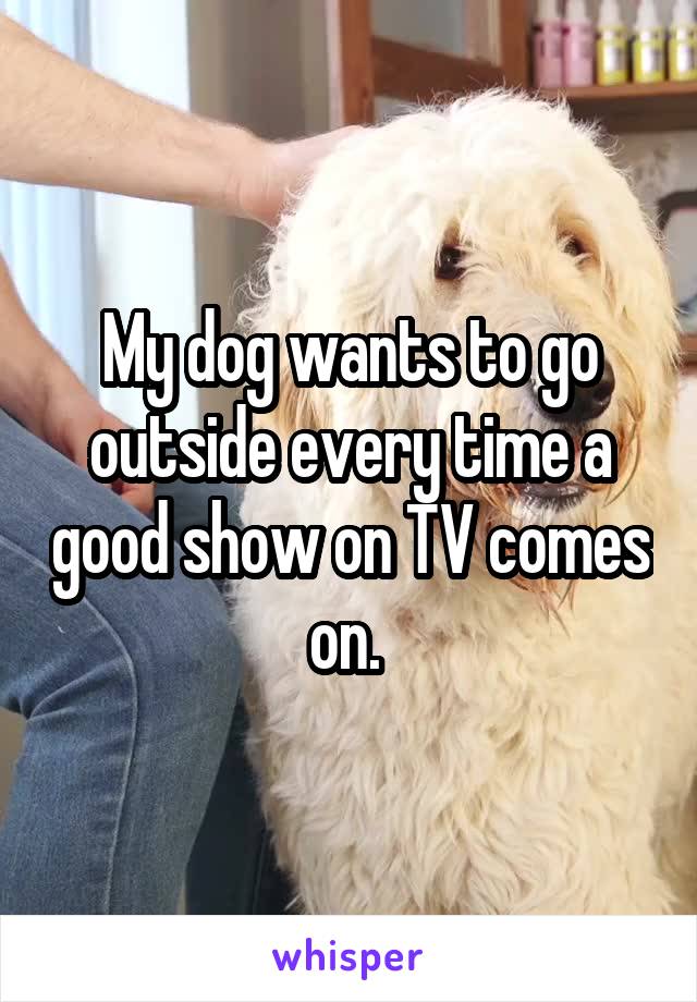 My dog wants to go outside every time a good show on TV comes on. 