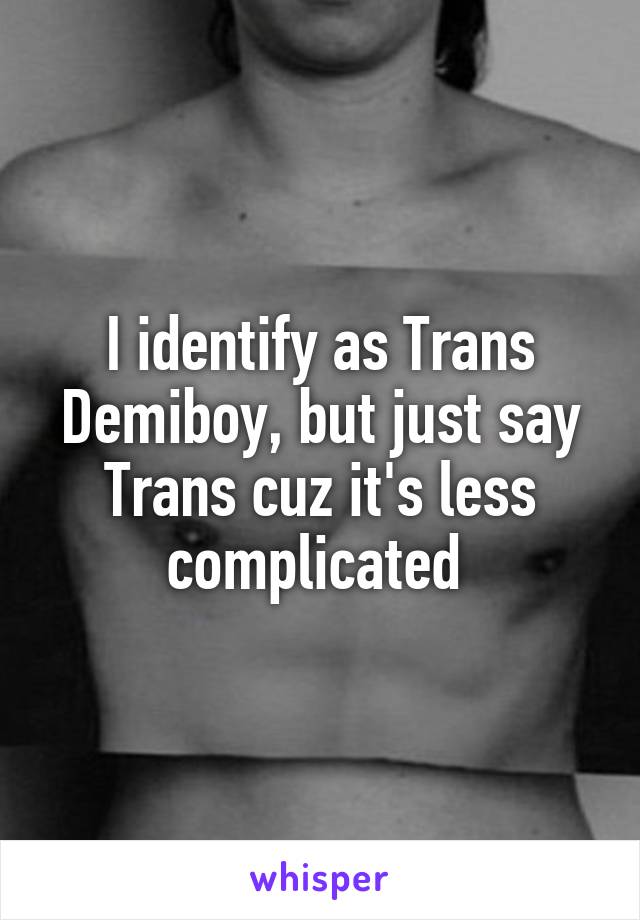 I identify as Trans Demiboy, but just say Trans cuz it's less complicated 
