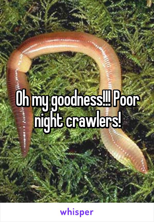 Oh my goodness!!! Poor night crawlers!