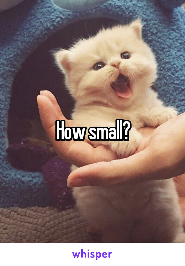 How small?