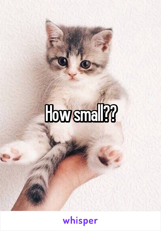 How small??
