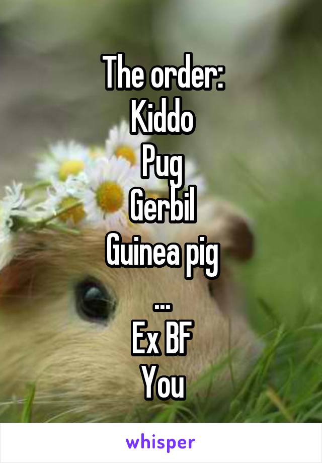 The order:
Kiddo
Pug
Gerbil
Guinea pig
...
Ex BF
You
