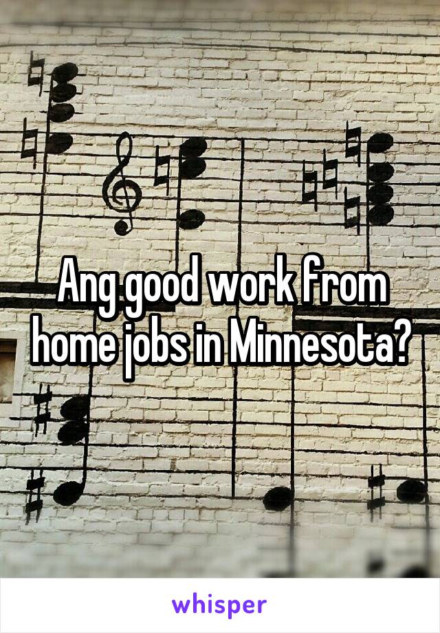 Ang good work from home jobs in Minnesota?
