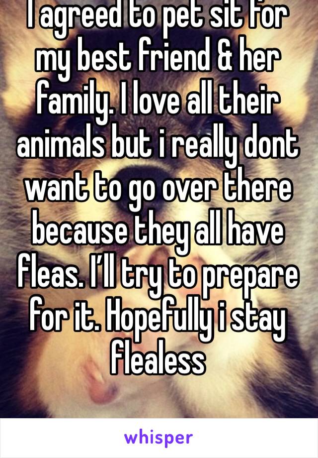 I agreed to pet sit for my best friend & her family. I love all their animals but i really dont want to go over there because they all have fleas. I’ll try to prepare for it. Hopefully i stay flealess