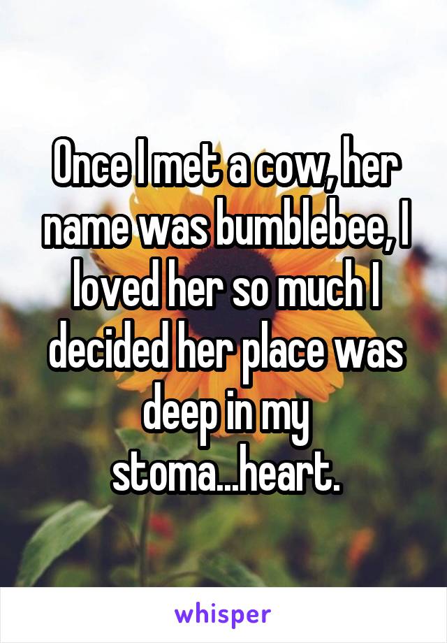 Once I met a cow, her name was bumblebee, I loved her so much I decided her place was deep in my stoma...heart.