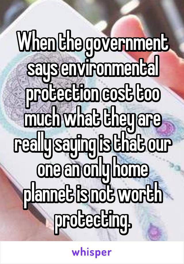 When the government says environmental protection cost too much what they are really saying is that our one an only home plannet is not worth protecting.