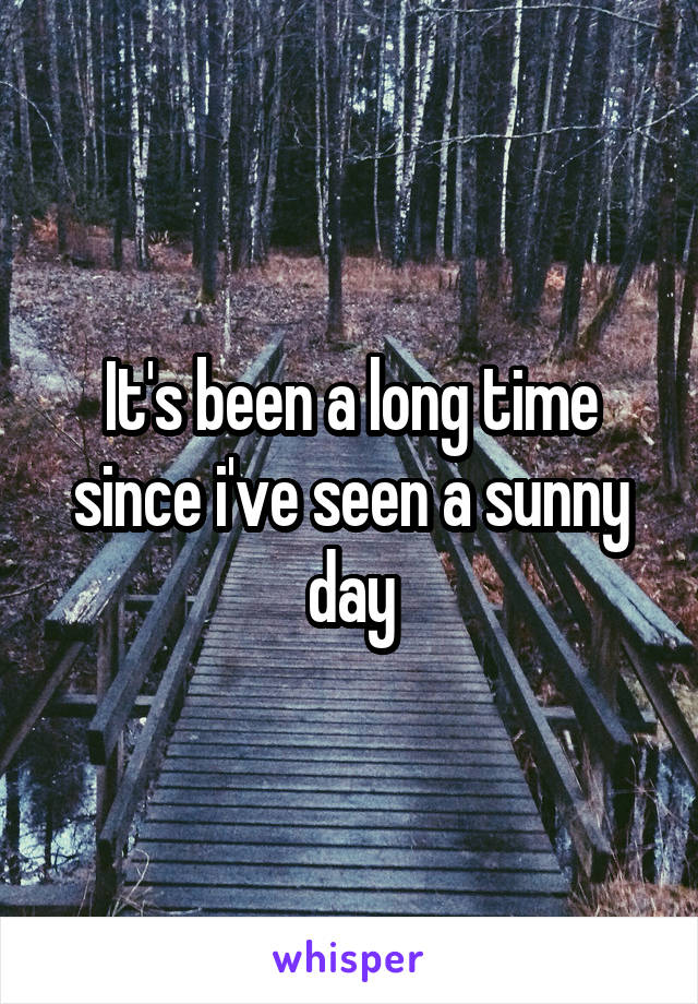 It's been a long time since i've seen a sunny day