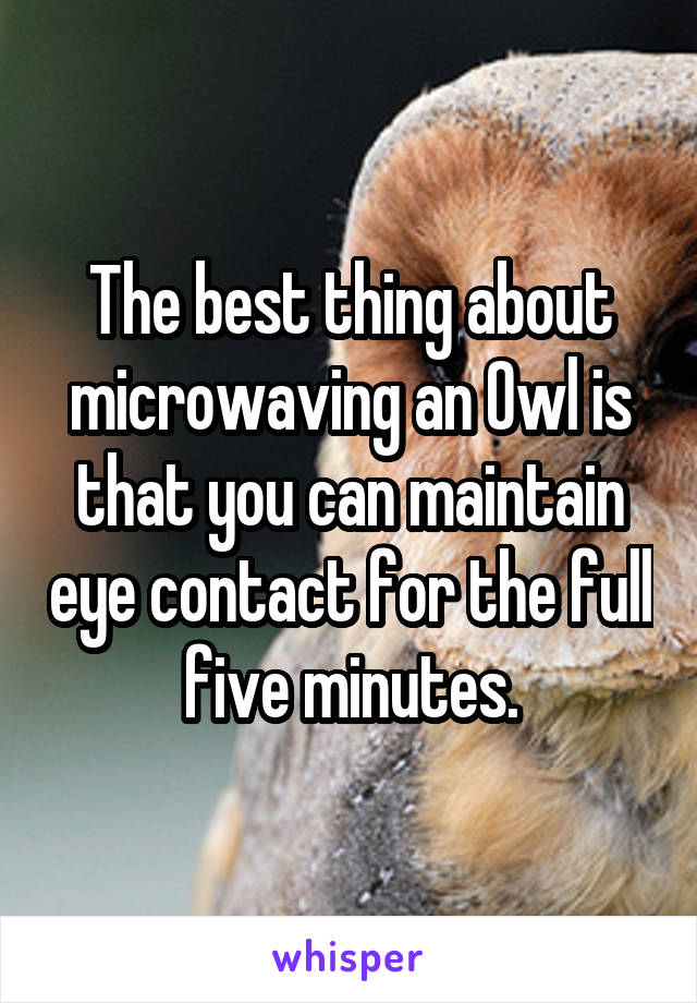 The best thing about microwaving an Owl is that you can maintain eye contact for the full five minutes.