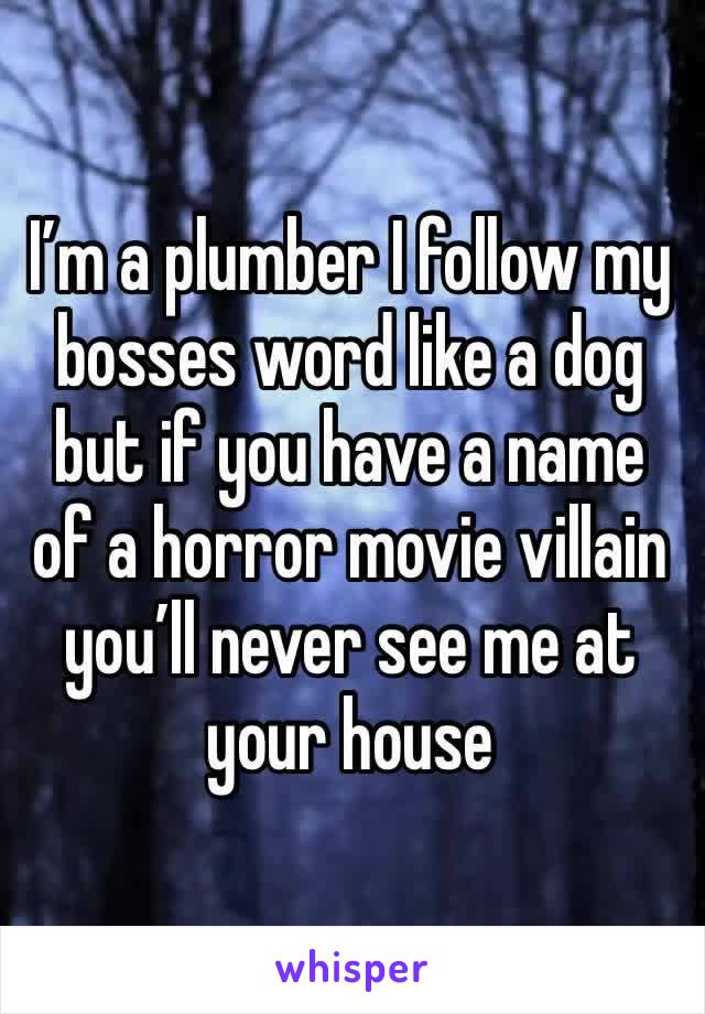 I’m a plumber I follow my bosses word like a dog but if you have a name of a horror movie villain you’ll never see me at your house