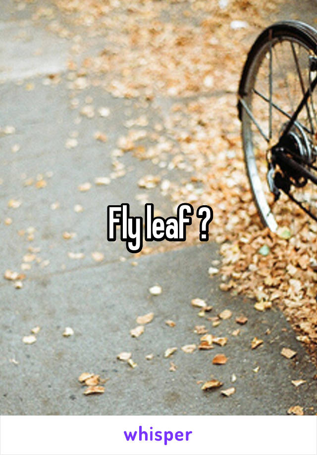 Fly leaf ?