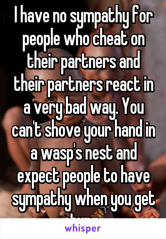 I have no sympathy for people who cheat on their partners and their partners react in a very bad way. You can't shove your hand in a wasp's nest and expect people to have sympathy when you get stung..