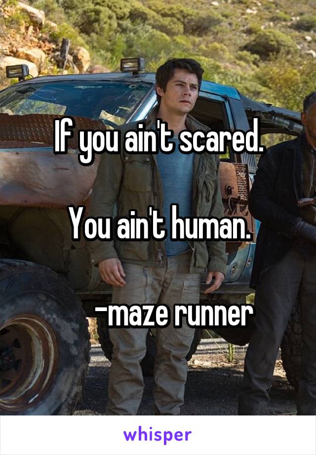 If you ain't scared.

You ain't human.

     -maze runner
