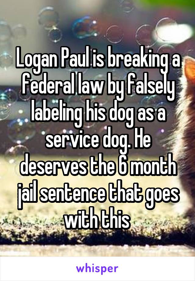 Logan Paul is breaking a federal law by falsely labeling his dog as a service dog. He deserves the 6 month jail sentence that goes with this 