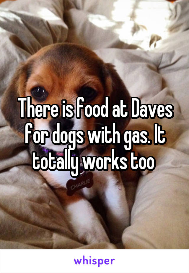 There is food at Daves for dogs with gas. It totally works too 