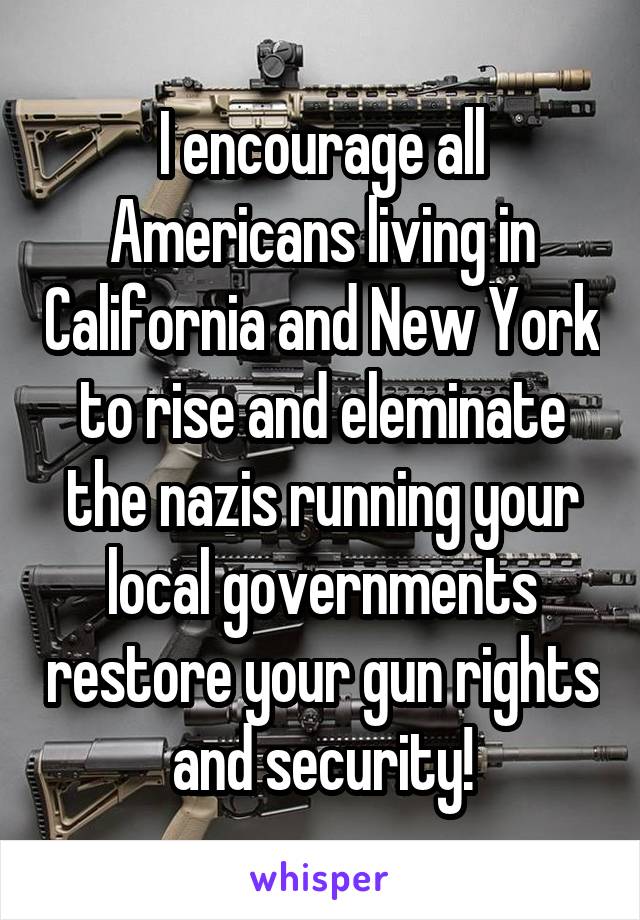 I encourage all Americans living in California and New York to rise and eleminate the nazis running your local governments restore your gun rights and security!