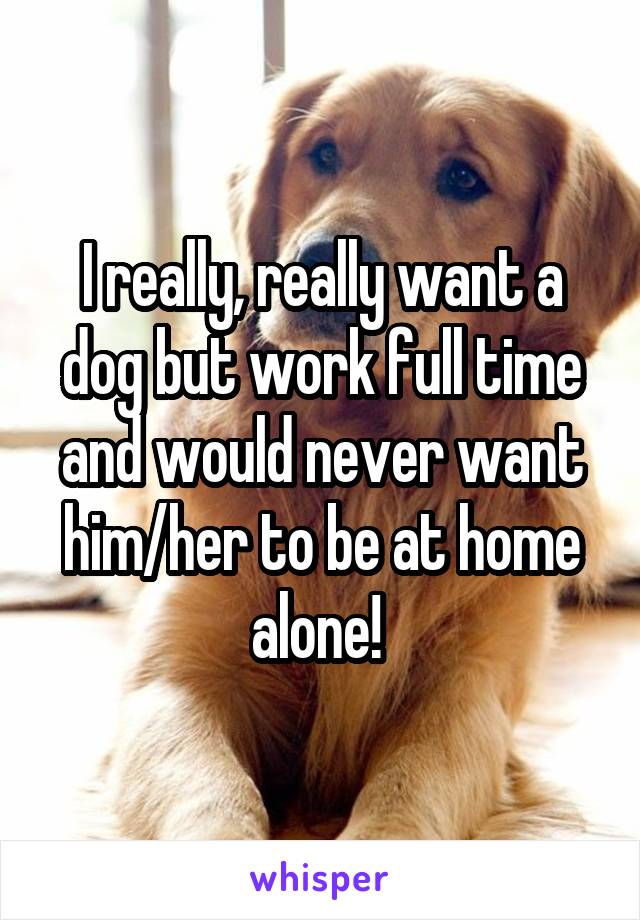 I really, really want a dog but work full time and would never want him/her to be at home alone! 